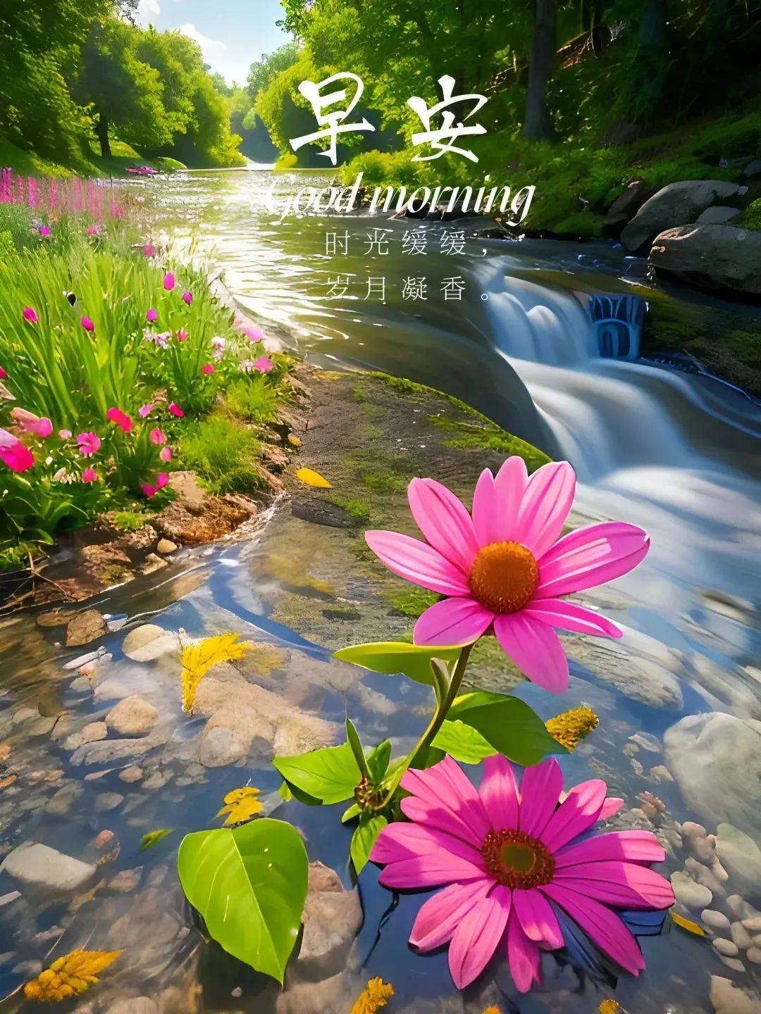 72张早安祝福图片大全,最新今天温馨淡雅早上好图片
