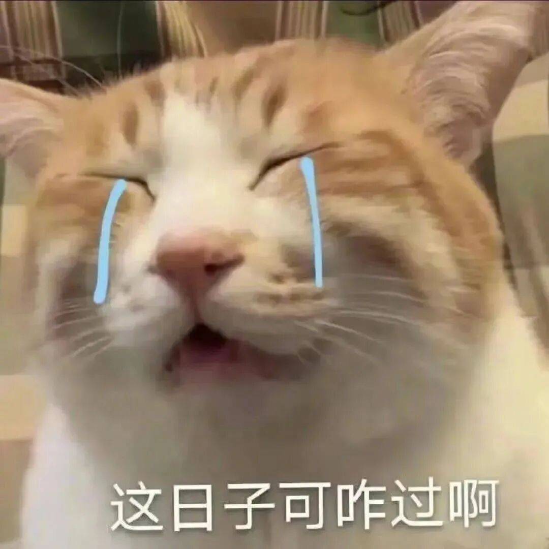 幽默沙雕表情包