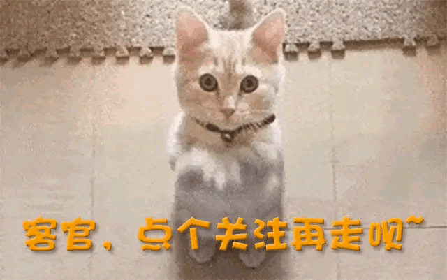 面相已变！逃到国外半年多，58岁金星近照曝光，走上了另一条路