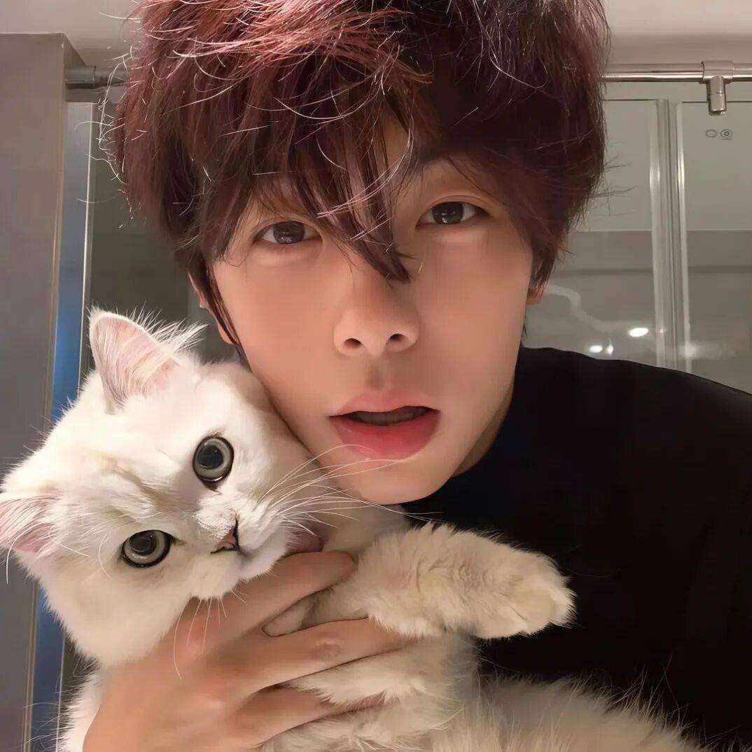 头像丨世界上最干净的头像