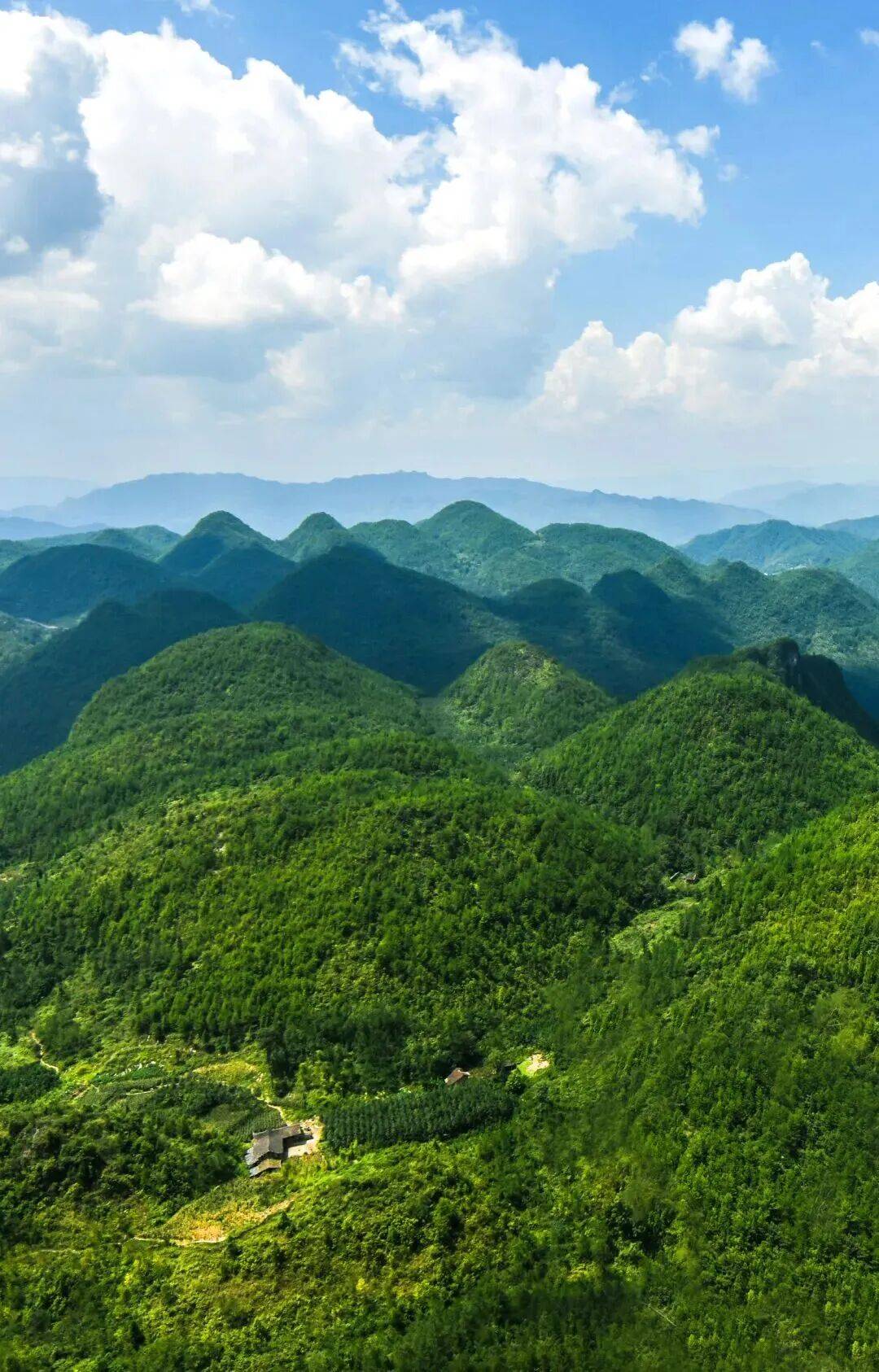 我告诉你骄傲的叶凡巴山大峡谷才是真正的震撼