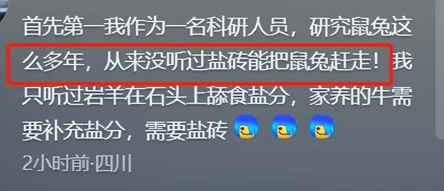 蔡国强高原烟花秀后续：调查组已介入，创作细节曝光 曾被日本拒绝
