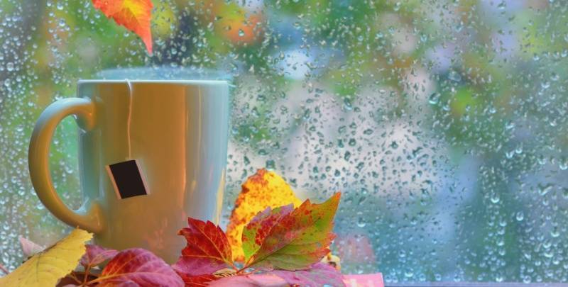 提醒，北京明天大部分地区有阵雨！气温下滑，秋意渐浓！
