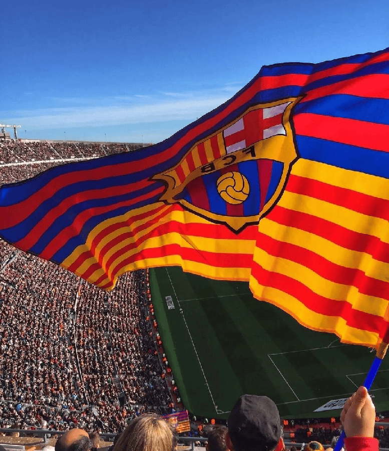 "足球知识我知道"系列