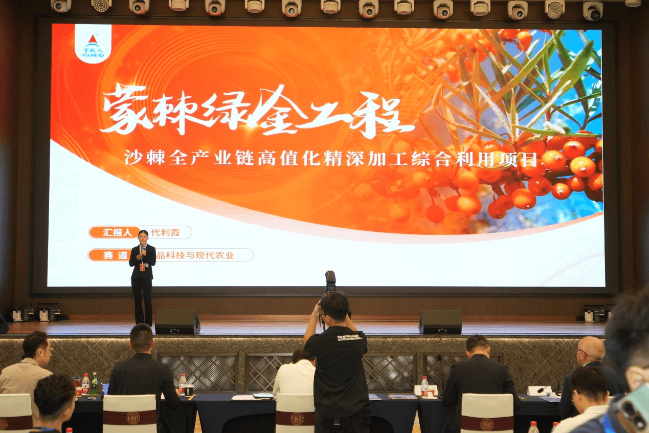 内蒙古在粤港澳大湾区创业大赛中斩获多个奖项