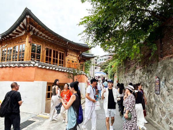 每周368次航班！免签政策“搅动”中韩旅游“一池春水”
