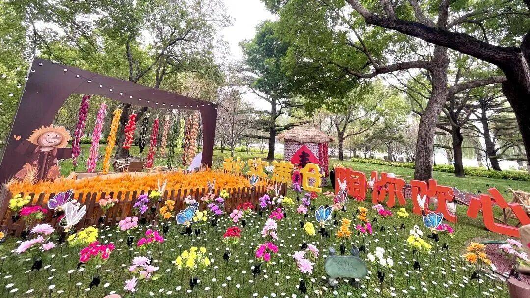 西城官宣！陶然亭公园菊花文化节来了