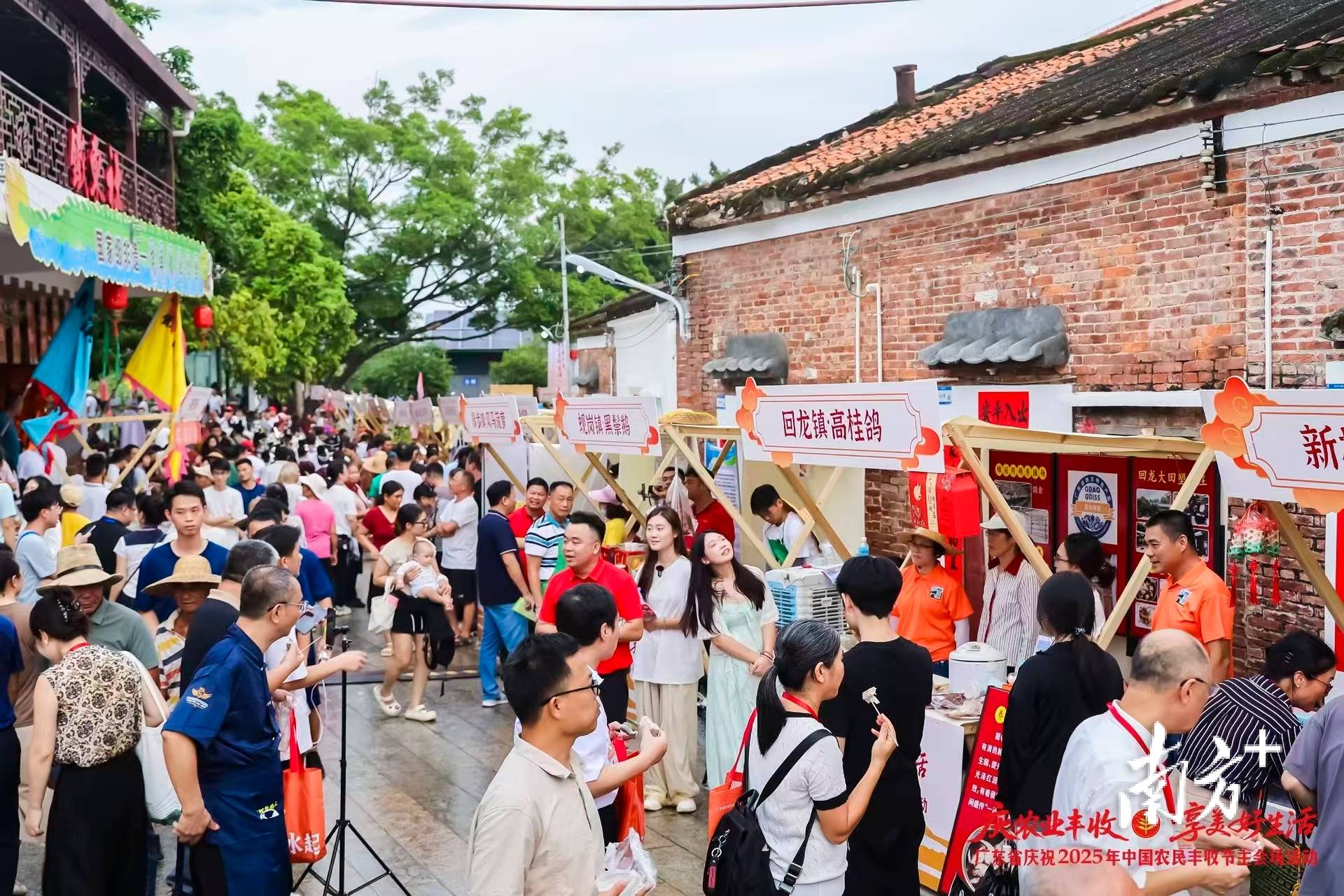 又是一年丰收时!广东省丰收节主会场活动在高要举行_乡村_肇庆_民丰