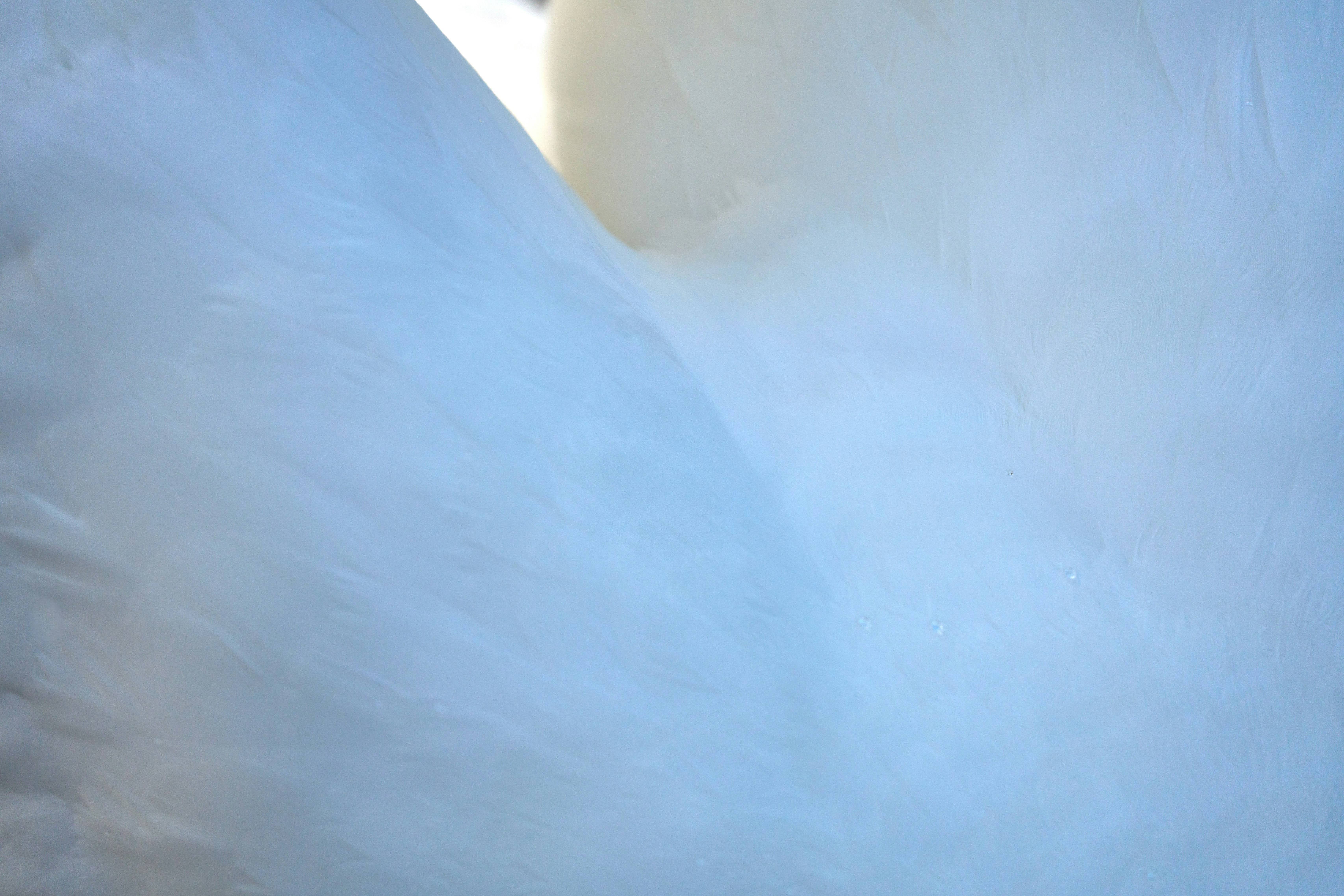 Costco减肥药降价！Ozempic和Wegovy如何改变你的健康生活？