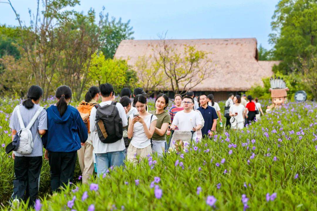 多彩“节日宴” | 良渚古城精彩文化活动进行中