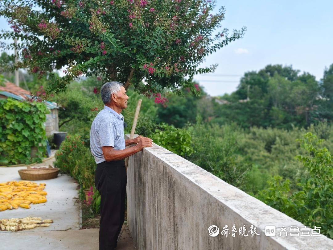 薪火沂蒙⑤|“土坷垃”长出“红票子”