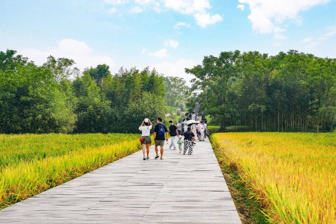 多彩“节日宴” | 良渚古城精彩文化活动进行中