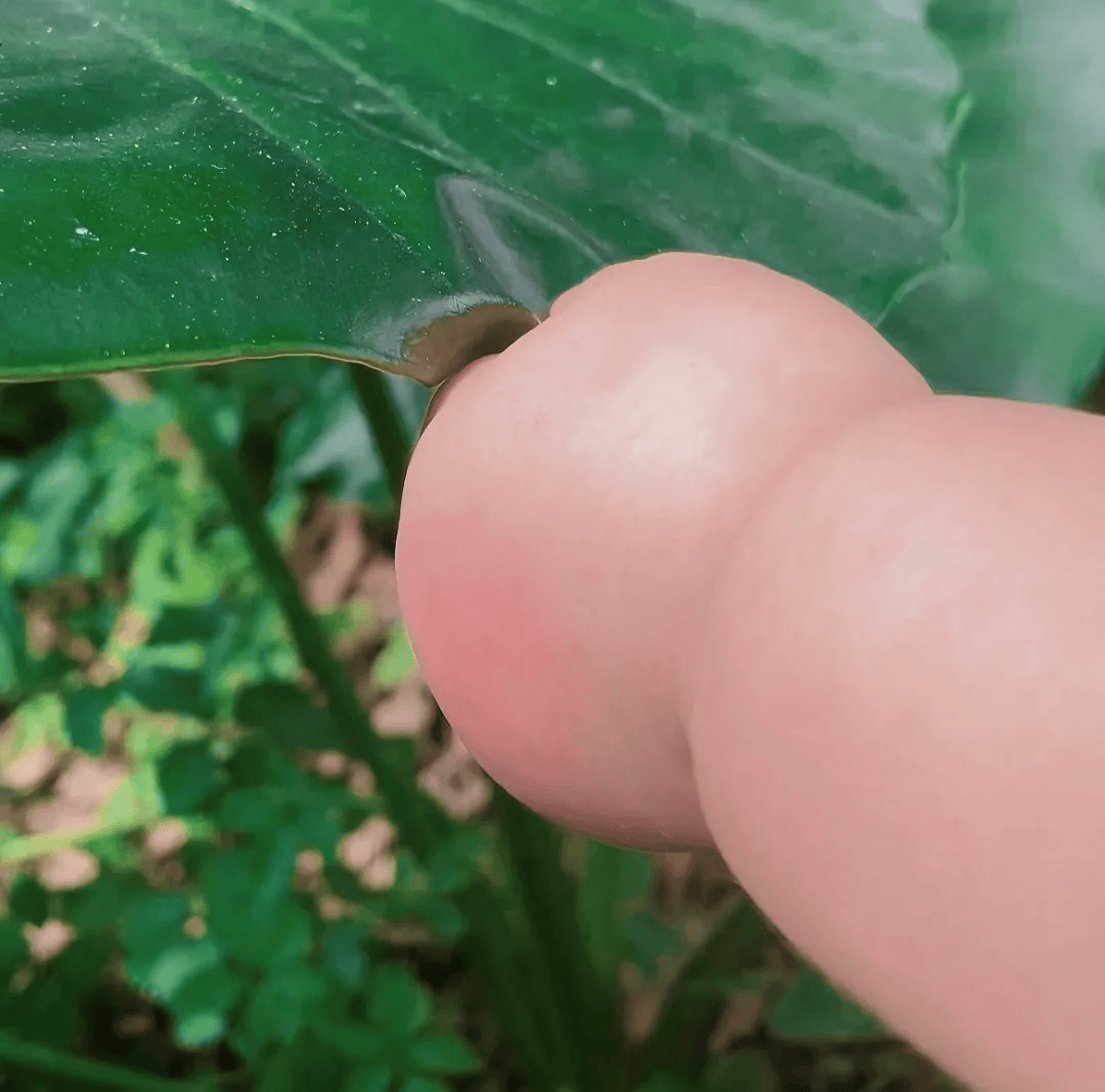 圆 圆 满 满 所 愿 皆 圆 ！