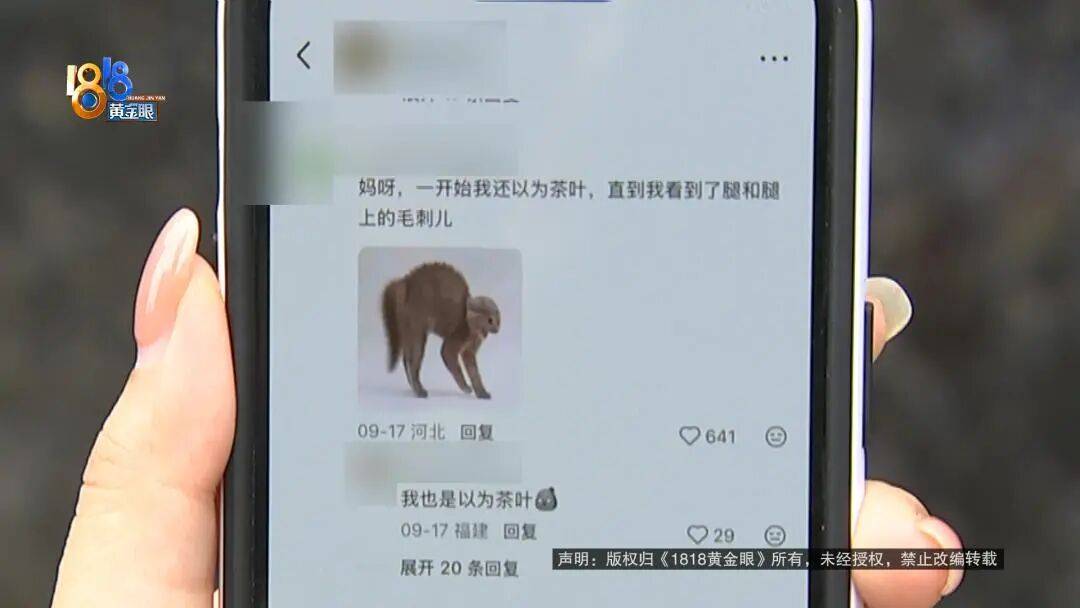 一口“KOI Thé”奶茶下去嘴有点"扎" 女子吐出昆虫腿还带毛刺(图7)