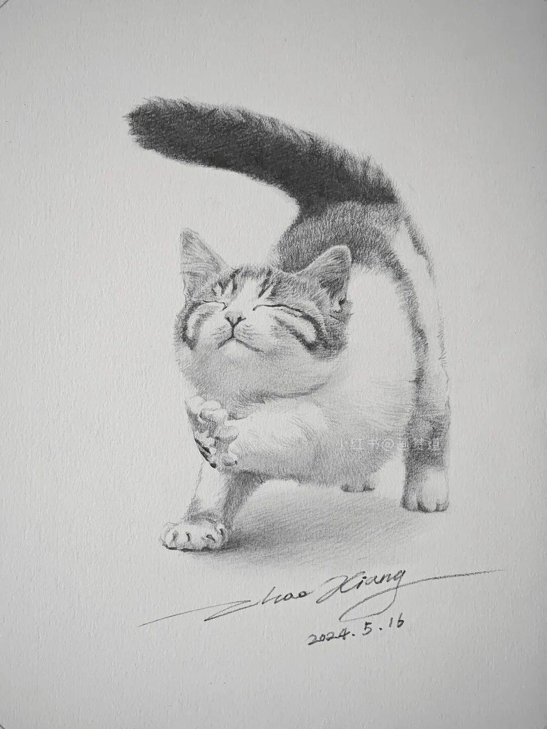 这素描猫咪,也太可爱了!