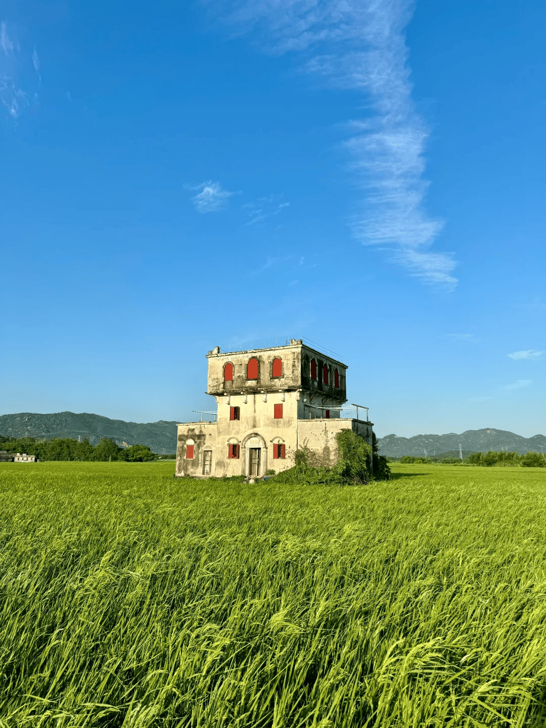 广东江门台山,一半草原,一半大海,太美了!