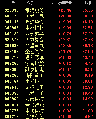 算力“牛股”，一字跌停