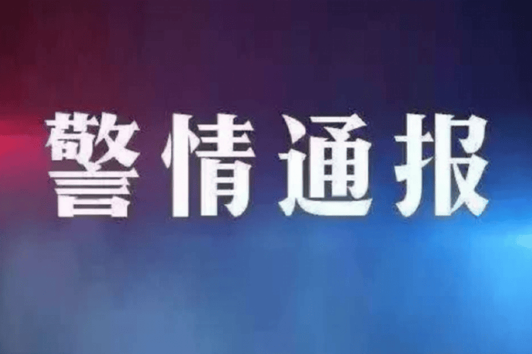 交通事故致狗被撞伤后起争执！狗主人与亲友殴打肇事方被拘留