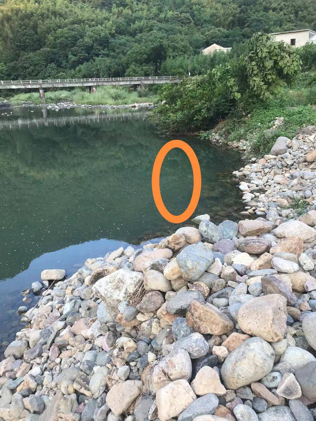 小伙河边散步跌落砂石坑后视力智力伤残 家属起诉三方索赔271万