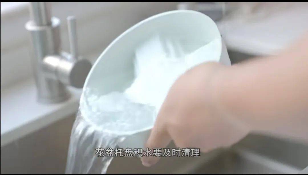 事关基孔肯雅热！全国首个试剂盒获批上市！