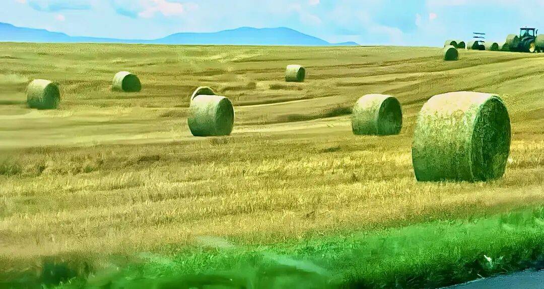 市场情绪逆转，美为何迅速软化对华立场？