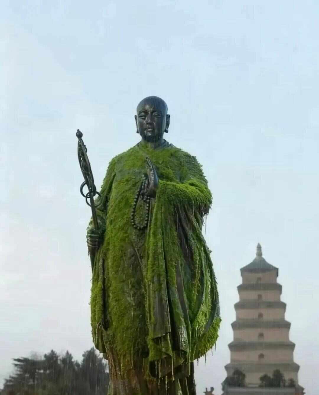 西安连续阴雨致玄奘法师铜像长满青苔？工作人员：网传图片内容可能为人为炒作