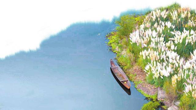 滇池绿道：荻花醉秋色