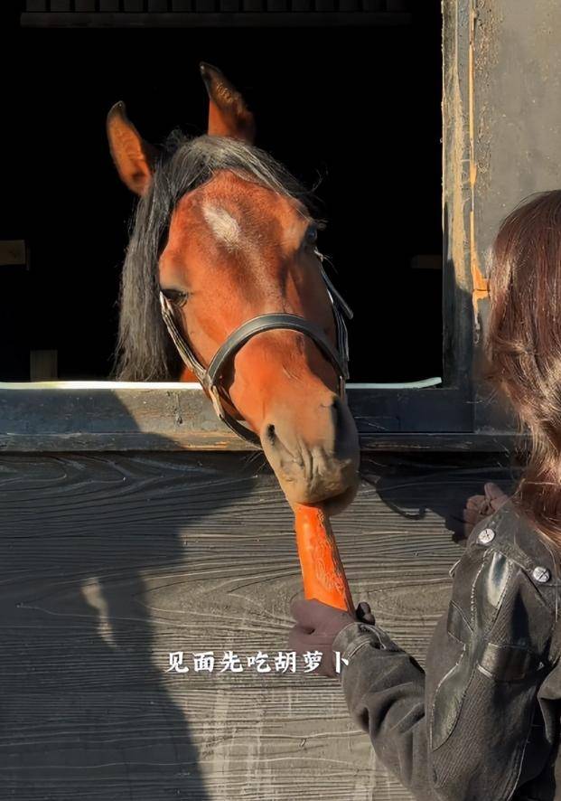 ！铲马粪修马蹄接地气穿紧身裤三角区显尴尬pg电子模拟器电脑版森林北分享养马日常(图13)