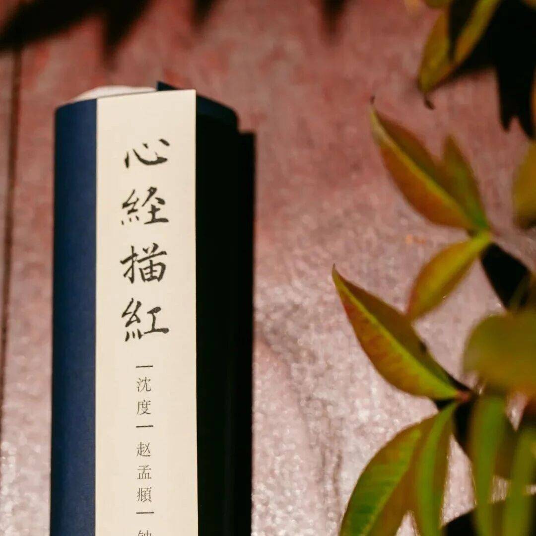 香期提醒丨诵持此咒,除一切苦,真实不虚_咒语_佛教_波罗蜜