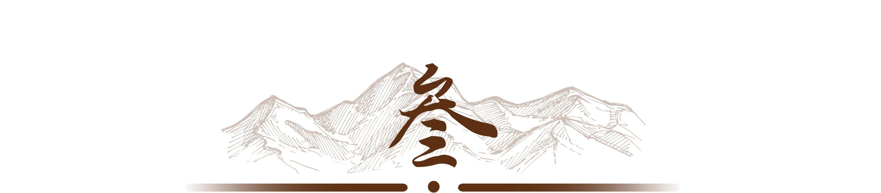 原创             翁帆相伴21年，杨振宁去世后，继子杨光诺一句感谢话让她口碑暴涨