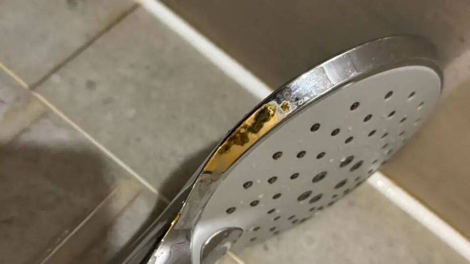 女子入住全季酒店、发现花洒上有粪便残留 赔偿事宜尚未明朗 (图1)