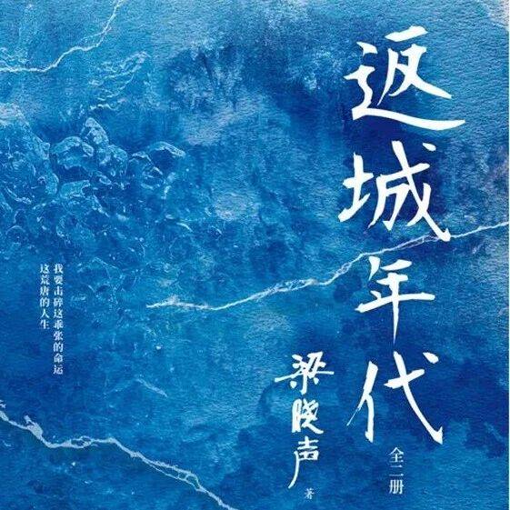 荐书丨值得N刷的年代文小说,每一本都值得反复回味!_寿亭_生活_命运