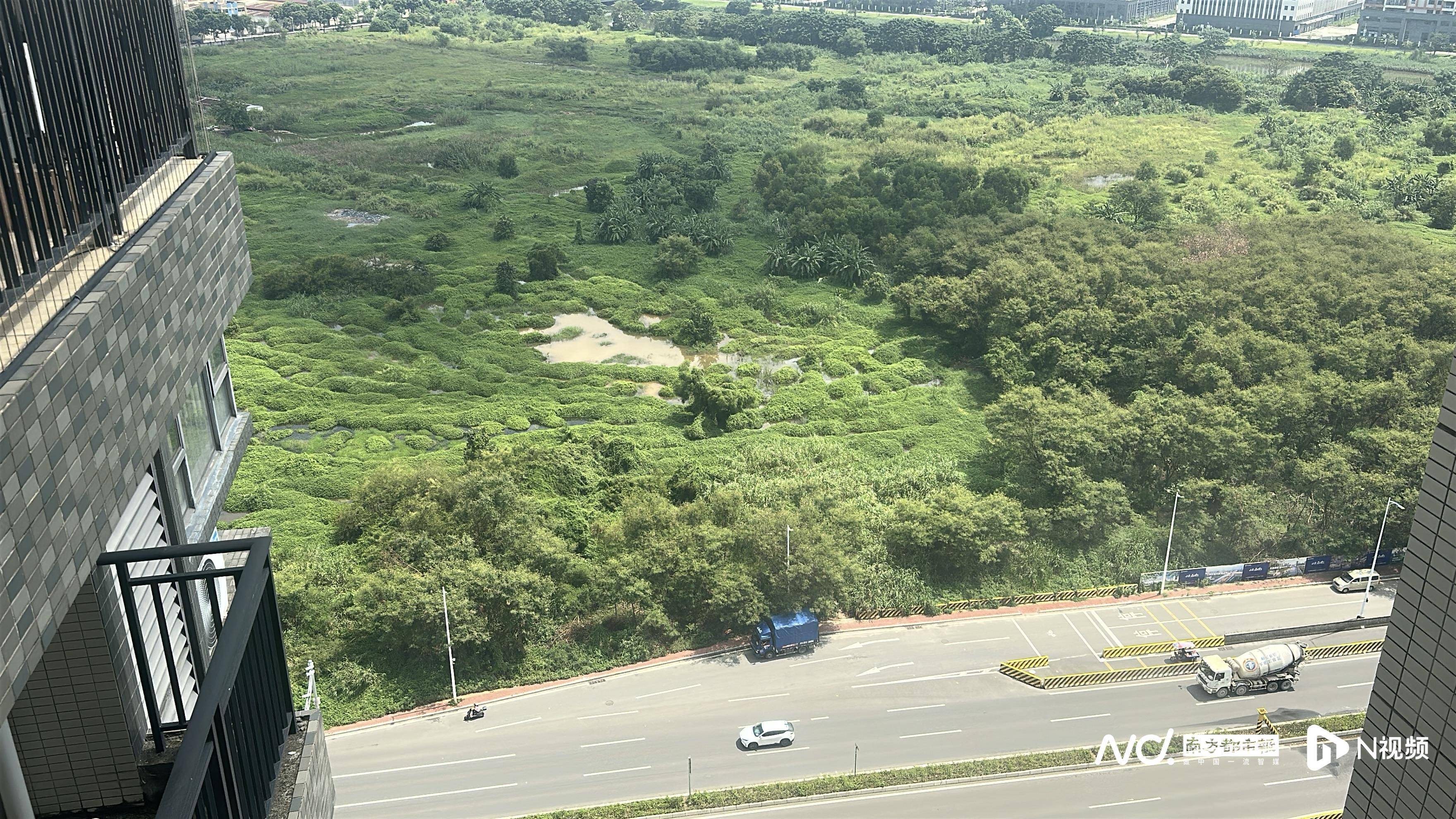 东莞四家企业起诉讨土地补偿 道滘镇回应:推动评估完成补偿(图4)