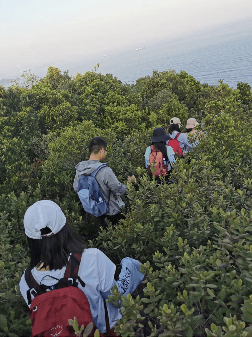 8月至今深圳“望郎归”发生三起失联遇难事件,徒步爱好者:未开放区域树木茂密易迷路 8月至今深圳“望郎归”发生三起失联遇难事件,徒步爱好者:未开放区域树木茂密易迷路