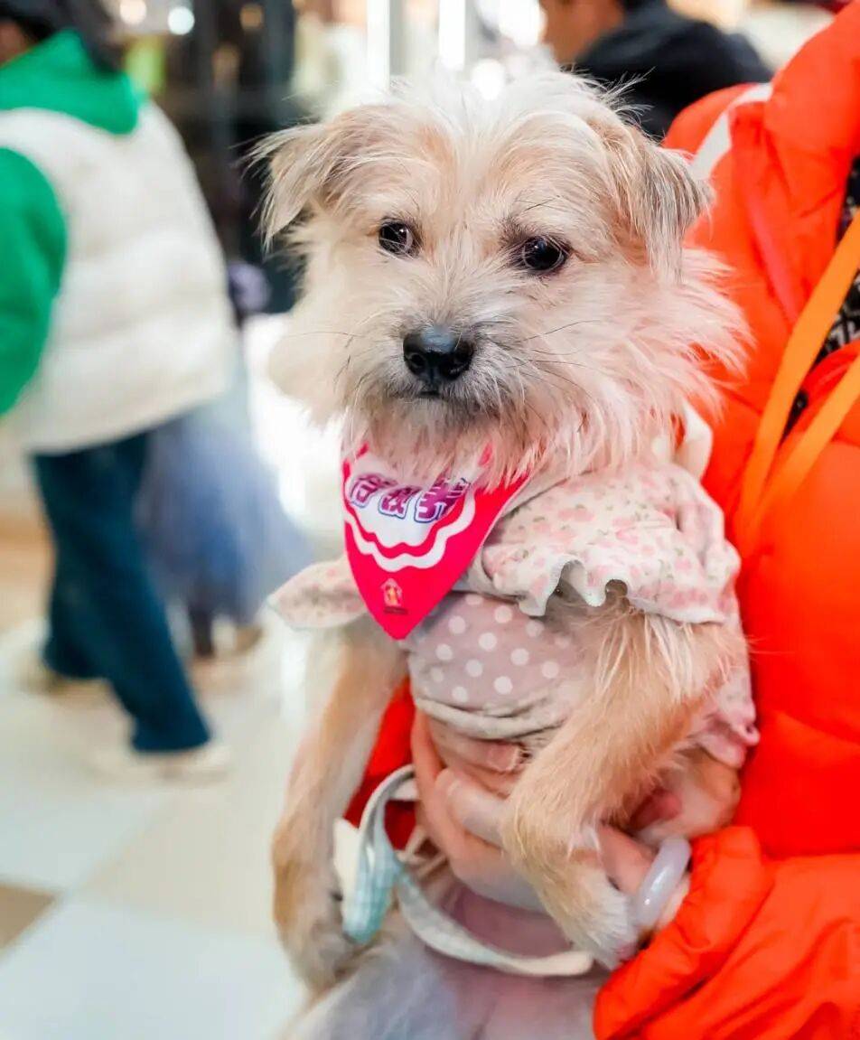 ,10月25日周六下午,20多只毛孩子萌照抢先看!