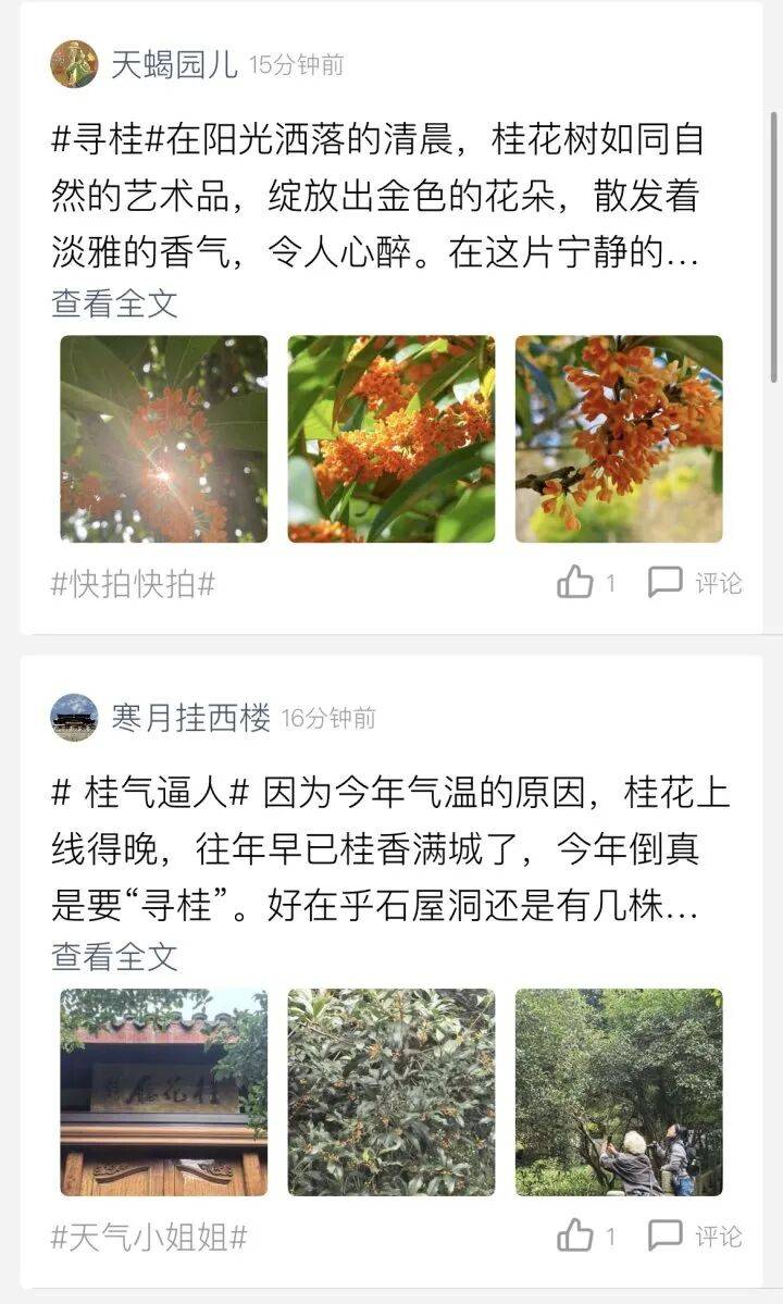 即将升温,再降6-8℃!新一轮冷空气要来 即将升温,再降6-8℃!新一轮冷空气要来
