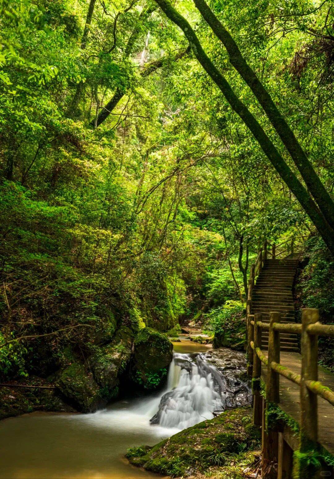 闽北山水之旅武夷山