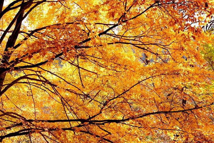 “Binance Casino - 领先的