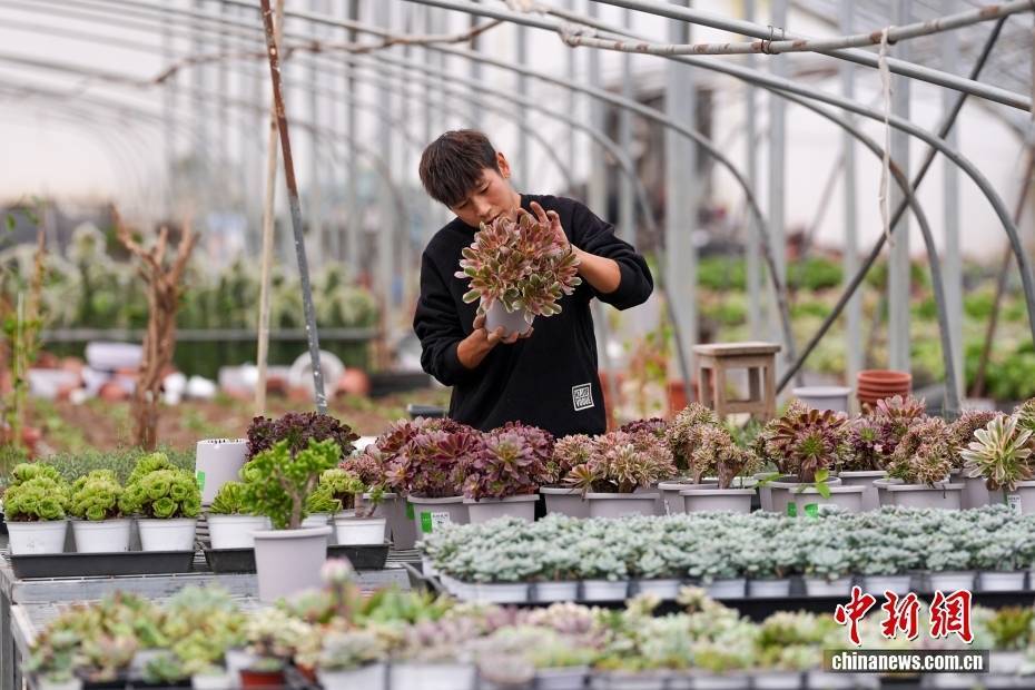 【中新画报】安居在丹江口“坝首第一村”