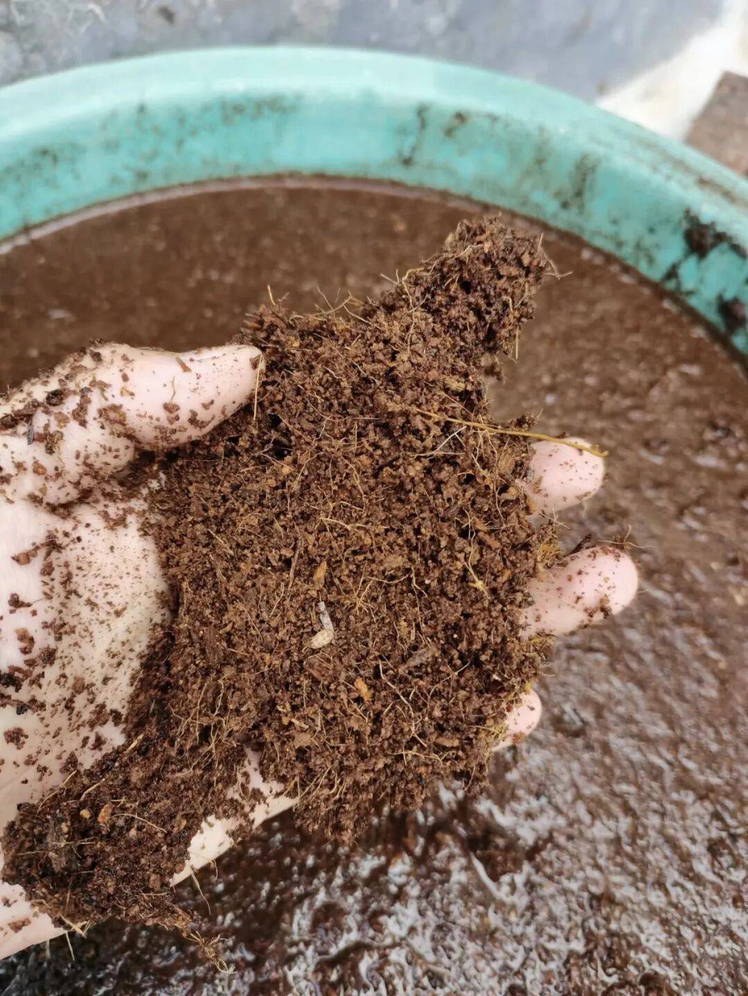 选对泥炭土养出清秀兰花掺点粗河沙让月季根系透气再用腐叶土给栀子