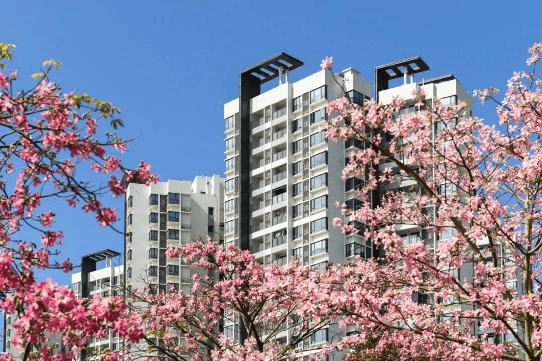 “十五五”定调未来五年房地产发展!专家解读抢鲜看