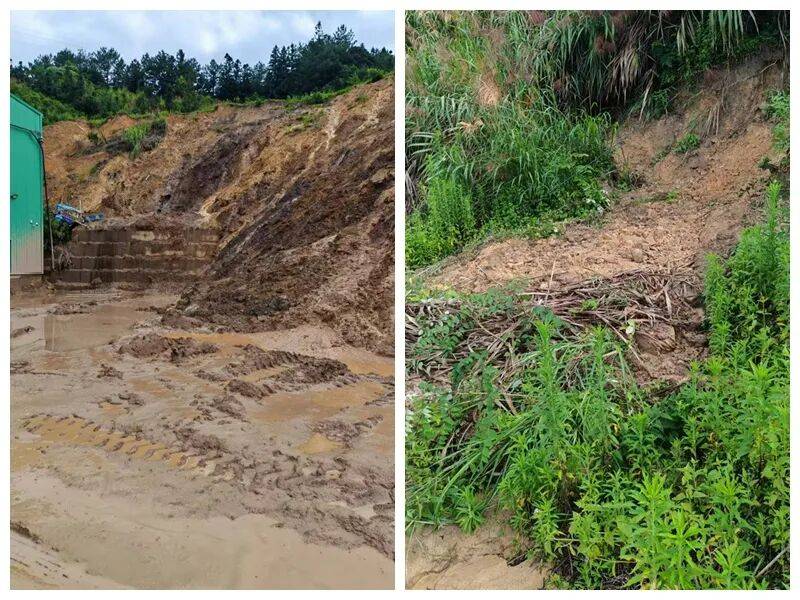 福建城坤建材有限公司毁坏永久基本农田:政府称监管落实不力(图1)