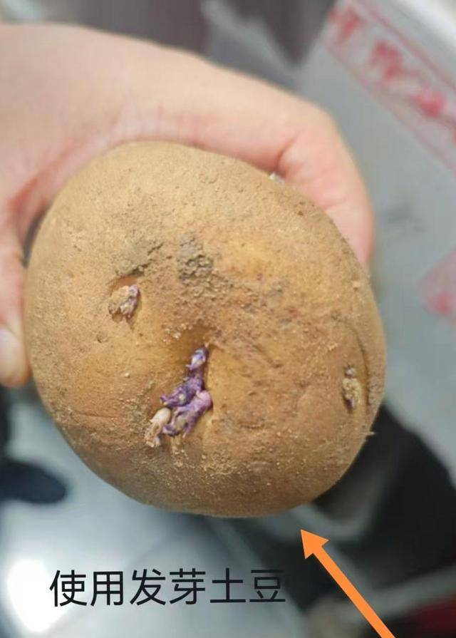 前员工举报"西塔老太太"泥炉烤肉一店后厨环境差还卖隔天肉(图4)