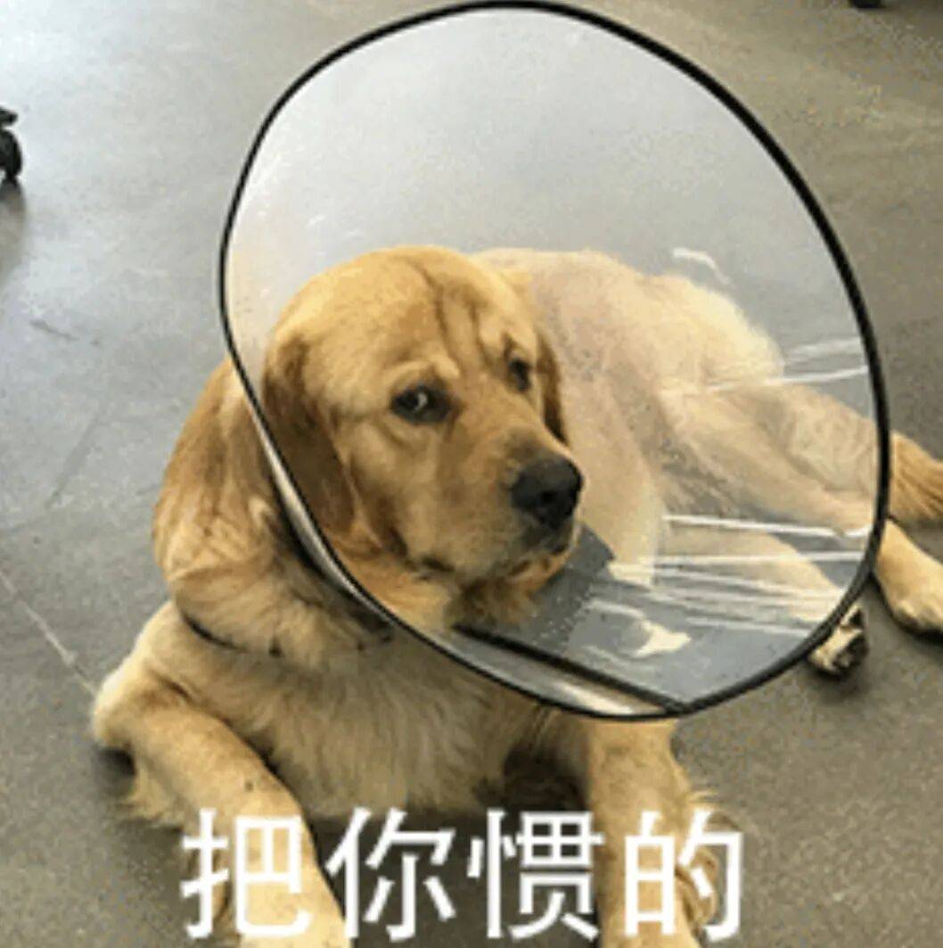 为了吸引你买手机，厂商们已经开始在参数页上动起手脚了