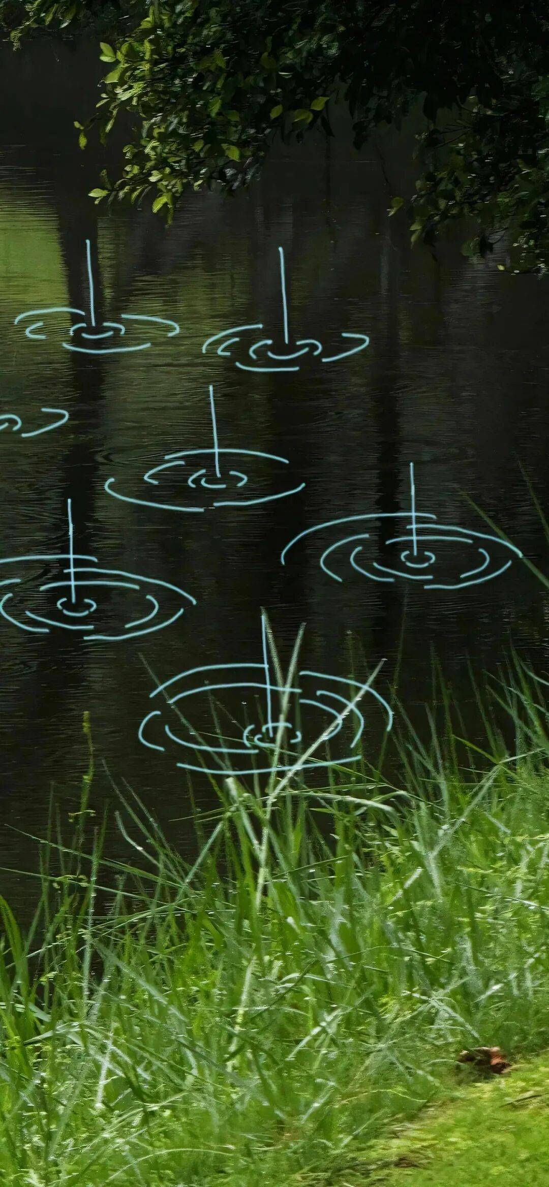 绿色系护眼壁纸