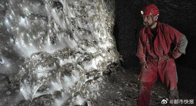 科学家发现世界上最大蛛网超100平米，网中有超11万只蜘蛛