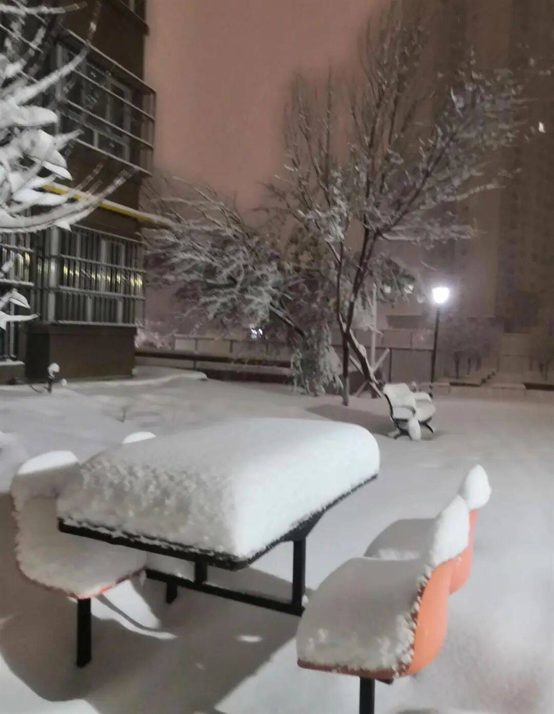 乌鲁木齐单日降雪创纪录,17个小时积雪超20厘米,工作人员连夜清雪 乌鲁木齐单日降雪创纪录,17个小时积雪超20厘米,工作人员连夜清雪