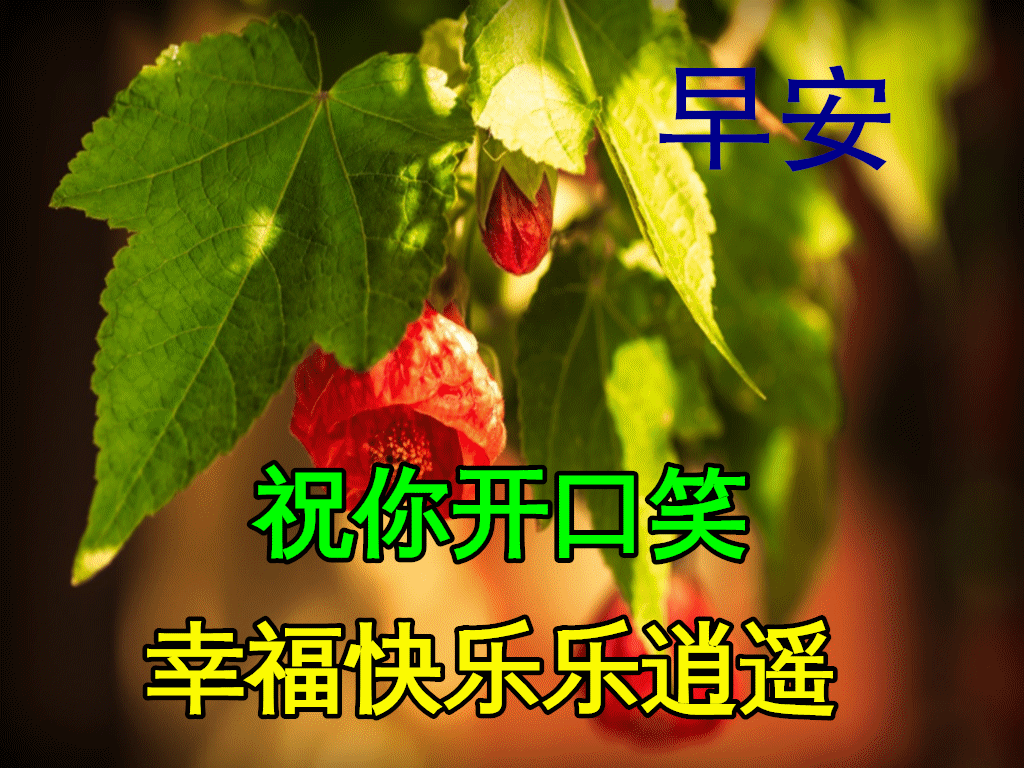 早上好动态表情图片大全,早晨好动图美图大全