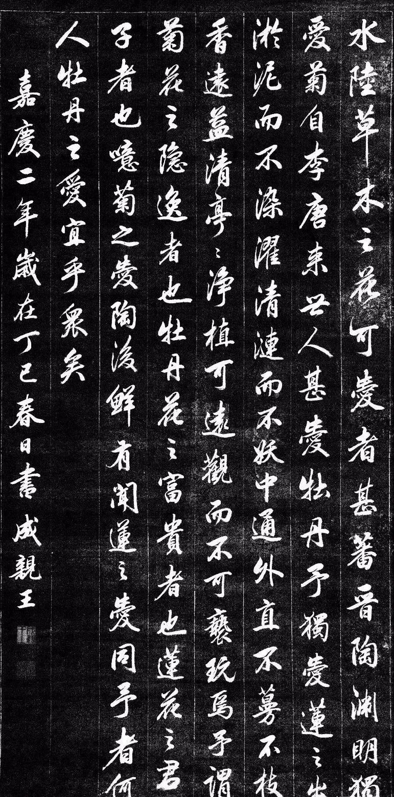 行书书法:这行书,美如莲花!