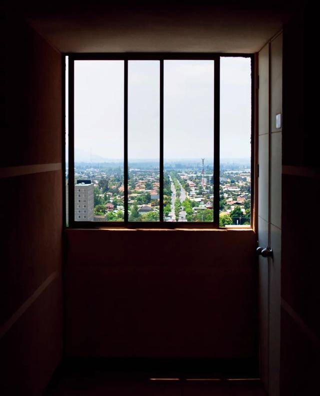 导致多起非正常死亡，“指居”何去何从？